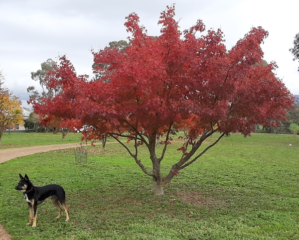 View from Pelycan Landing's Bedrooms