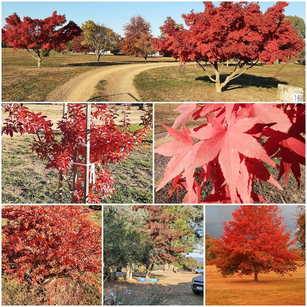 Views of Pelycan Landing's gardens