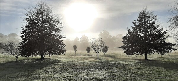 Pelycan Landing's magnificent Winter mornings