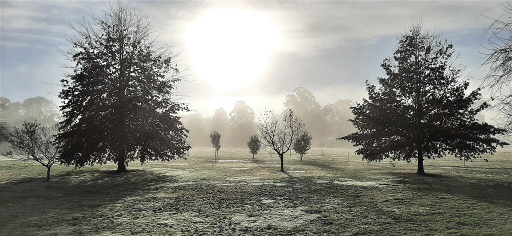 Magnificent Scenery surrounds Pelycan Landing's Short term Holiday facilities