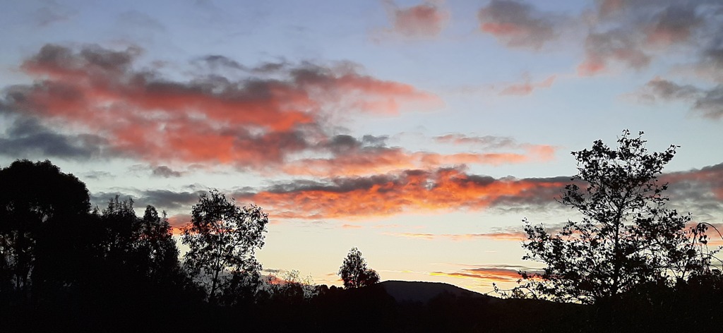 Morning and Evening Skies highlight Pelycan Landing's natural beauty