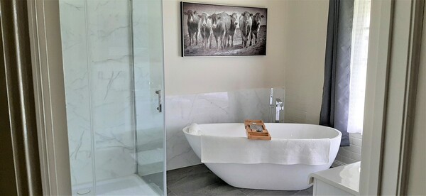 Bathroom with Shower, WC and vanity