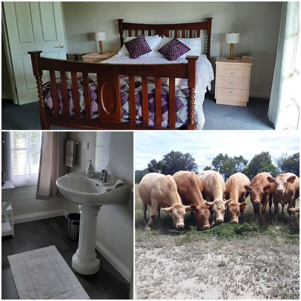 Relaxing Country Stays